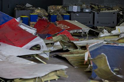 В cуде попросили расследовать наличие у НАТО данных для дела MH17